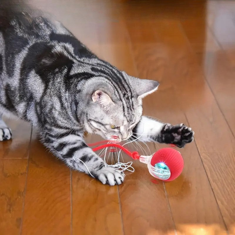 Bola de Gato Brinquedo Interativo