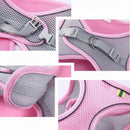 Coleira Peitoral Ajustável para Gato