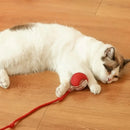 Bola de Gato Brinquedo Interativo