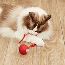 Bola de Gato Brinquedo Interativo