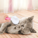 Rasqueadeira Escova de Pelo para Cachorro e Gato