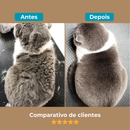 Escova de Pelo a Vapor para Cachorro e Gato