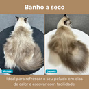 Escova de Pelo a Vapor para Cachorro e Gato