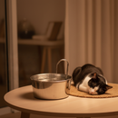 Essencial Pro™ - Fonte de Gato Bebedouro Automático 1,8L