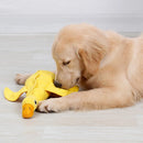 Mordedor Pato Brinquedo Interativo