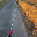 Guia Retrátil para Cães