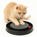 Arranhador de Gato Interativo