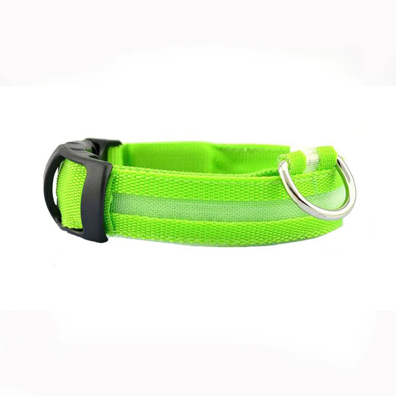 Coleira de LED Brilhante para Cachorro