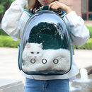 Bolsa Pet Mochila de Gato para Transporte Seguro